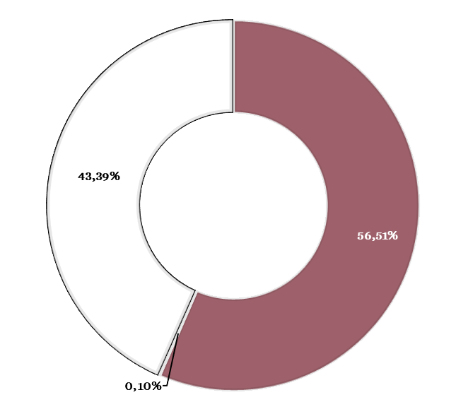 56% Fonts de finançament públic, 0,1% Fonts de finançament privat i 43% Fonts de finançament pròpies