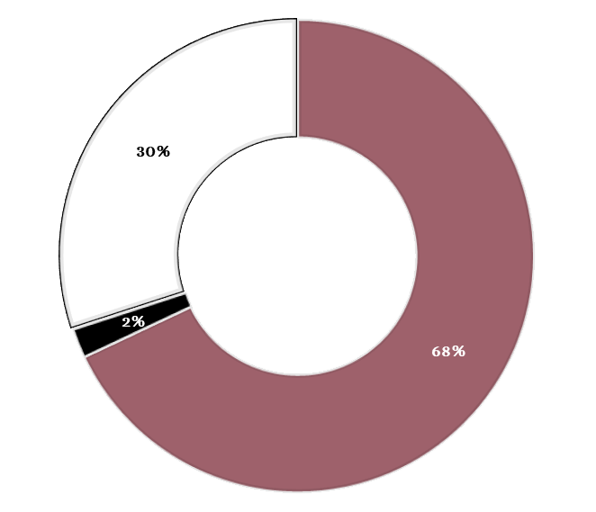 68% Fonts de finançament públic, 2% Fonts de finançament privat i 30% Fonts de finançament pròpies