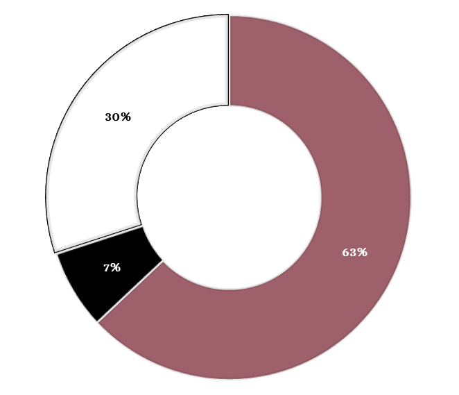 63% Fonts de finançament públic, 7% Fonts de finançament privat i 30% Fonts de finançament pròpies